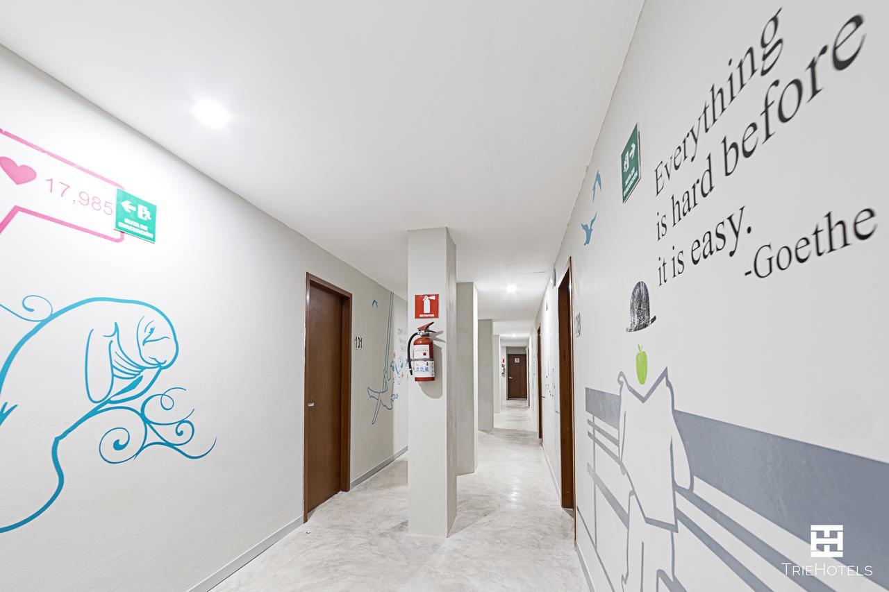 Hotel Urban 101 Τσετουμάλ Εξωτερικό φωτογραφία
