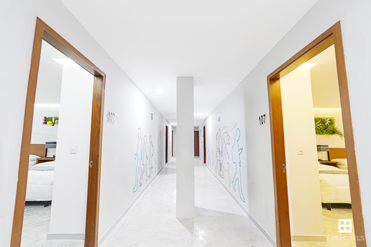 Hotel Urban 101 Τσετουμάλ Εξωτερικό φωτογραφία